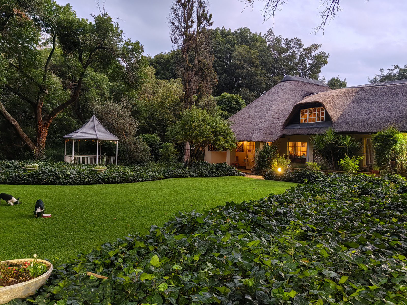 Beautiful gardens at The Village Guest House
